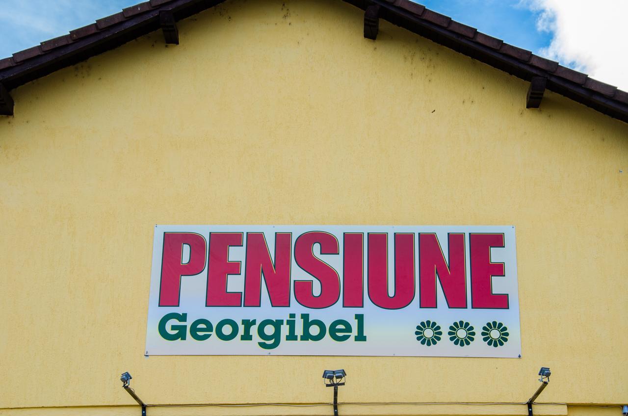 Pensiunea Georgibel デヴァ エクステリア 写真